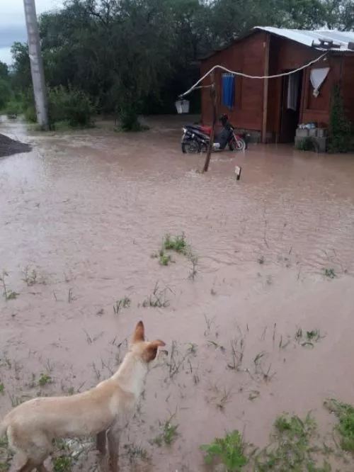 campo quijano agua