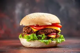 burguer 5
