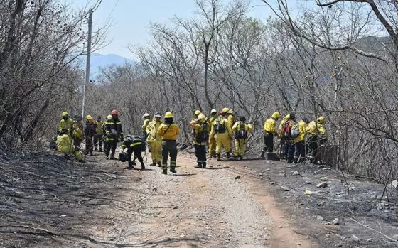 Brigadistas Salta