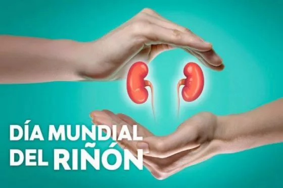 riñon