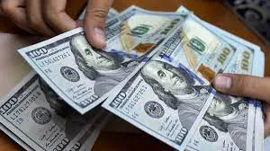 Dolares