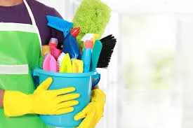 domestico