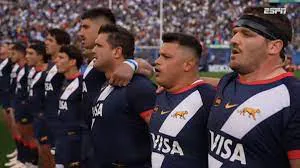 Pumas gales