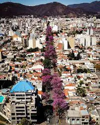 Primavera salta