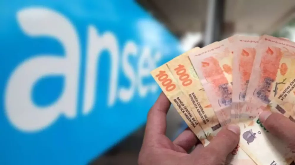 bono escolar anses