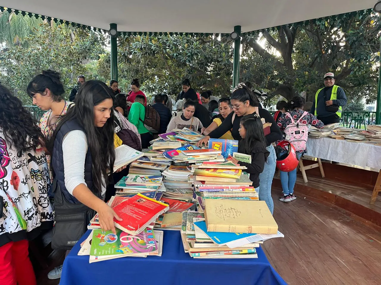 Suelta de libros