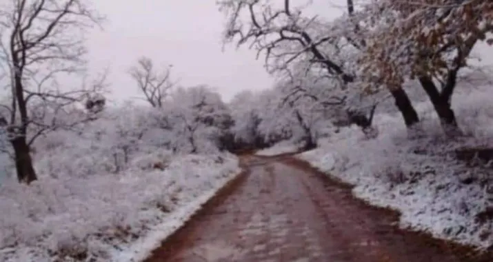 nieve chicoana