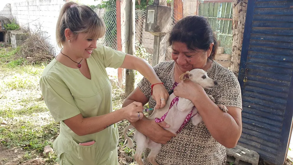 vacunacion perritos