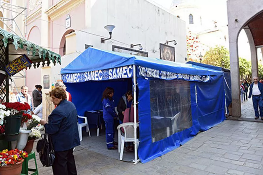 carpa samec