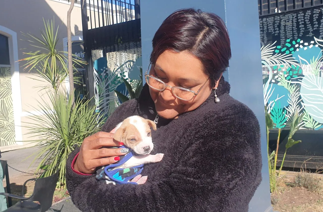 adopcion de perros