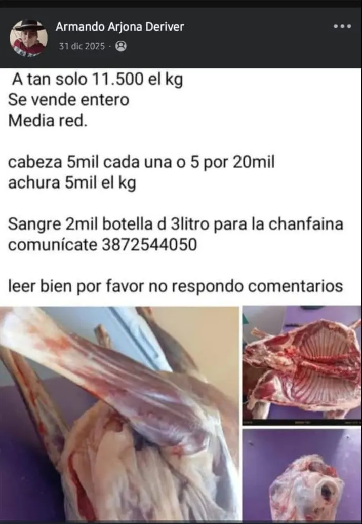 Animales faenados venta