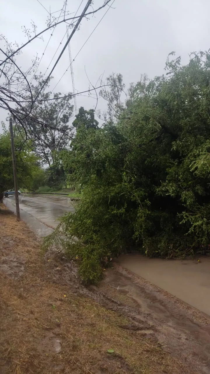 WhatsApp Image 2024-02-13 at 09.08.51