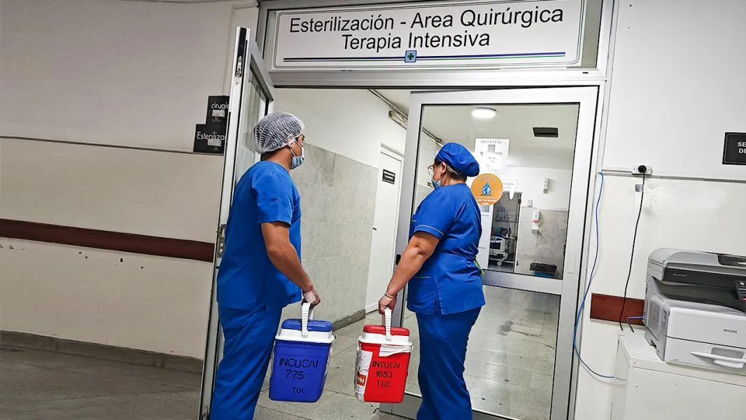 transplante