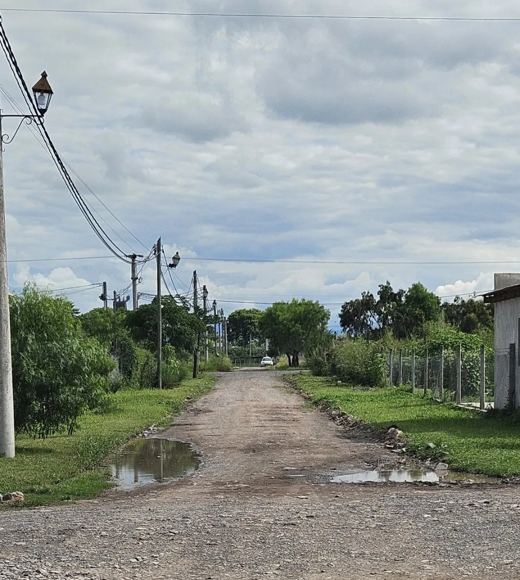Quijano Dengue