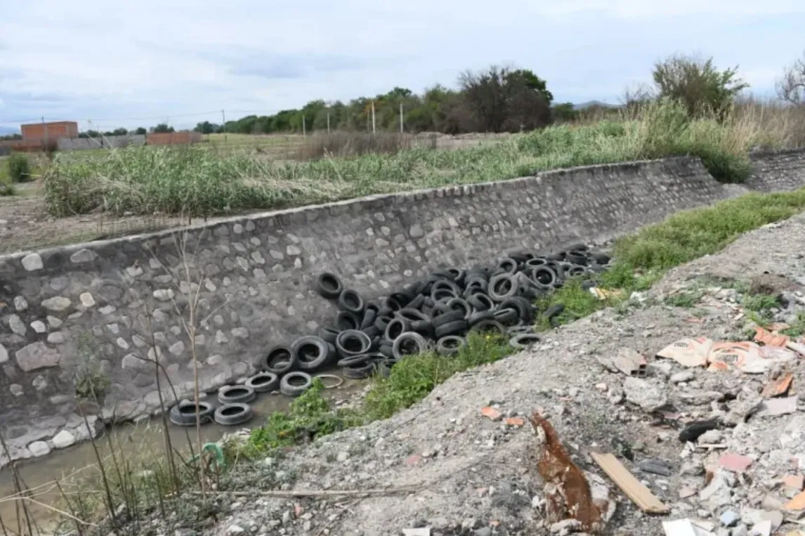 Cubiertas san carlos