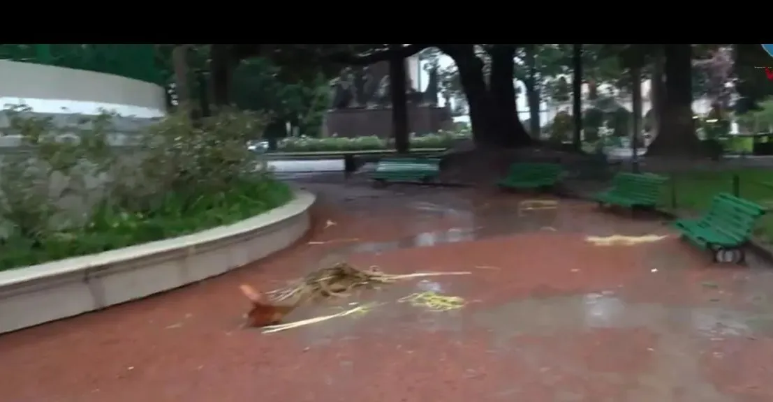 rayo plaza