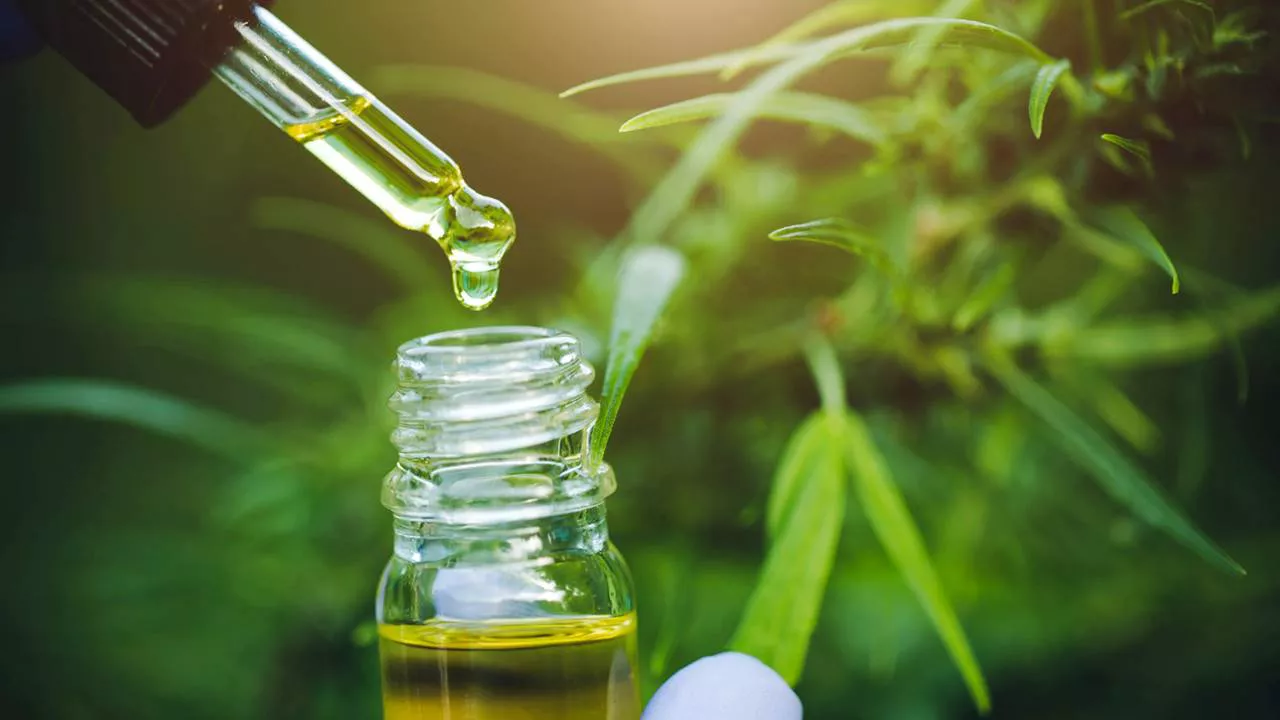 cannabis medicinal