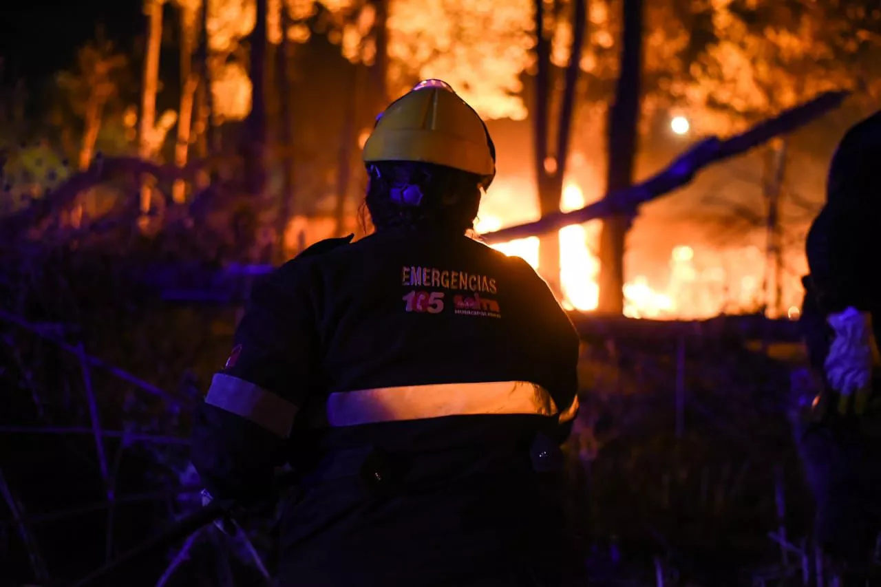 Incendios 1507 muni