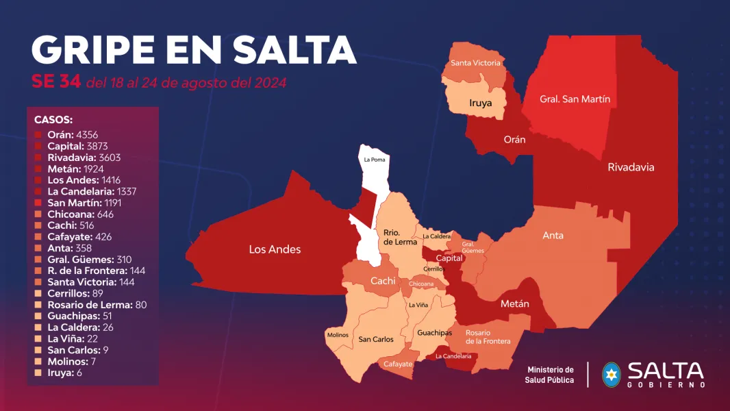 gripe en salta
