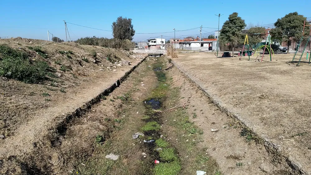 canal palmeritas