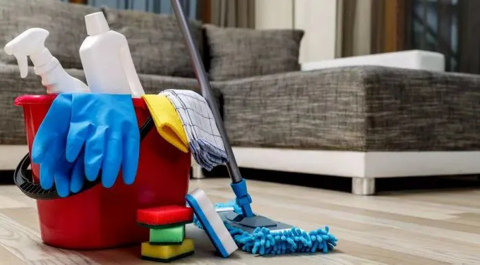 Empleadas domesticas