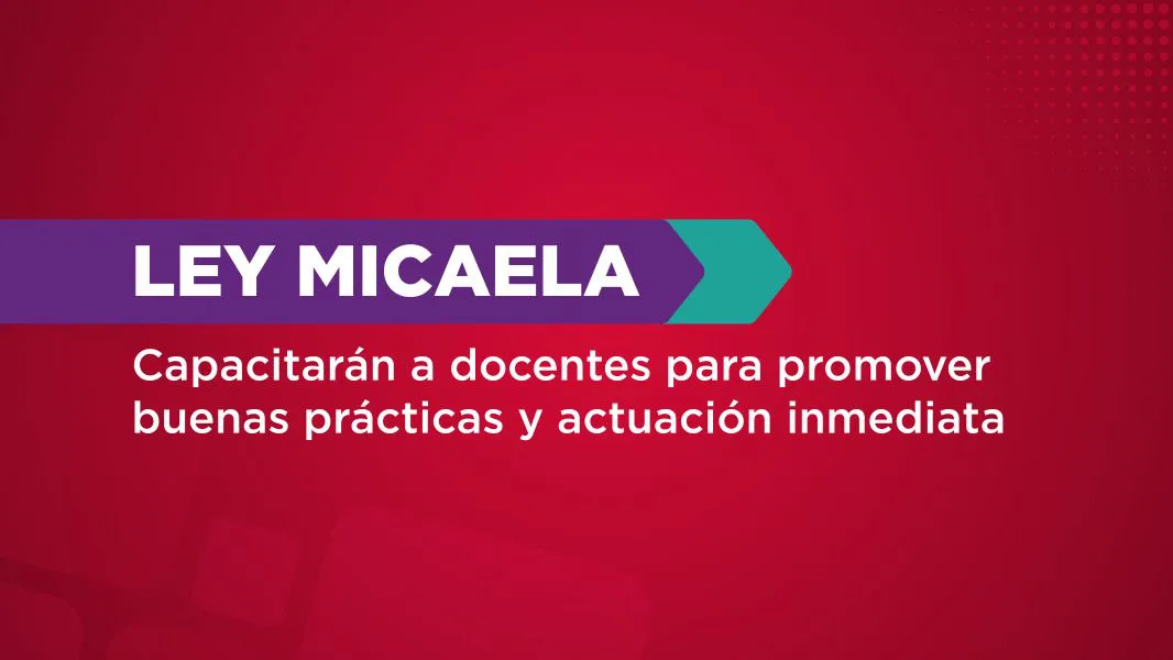 ley micaela capa