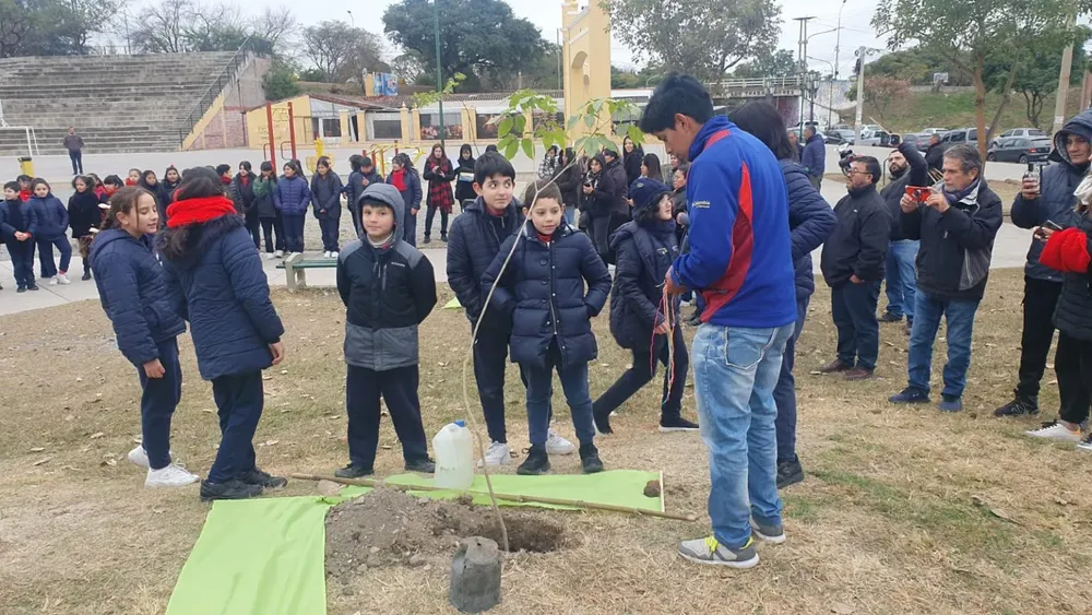 muni arbolada