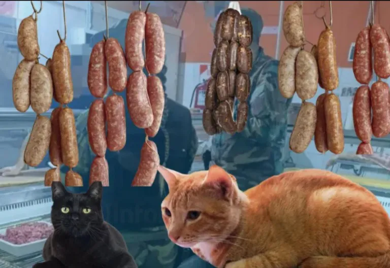 Embutidos de gato