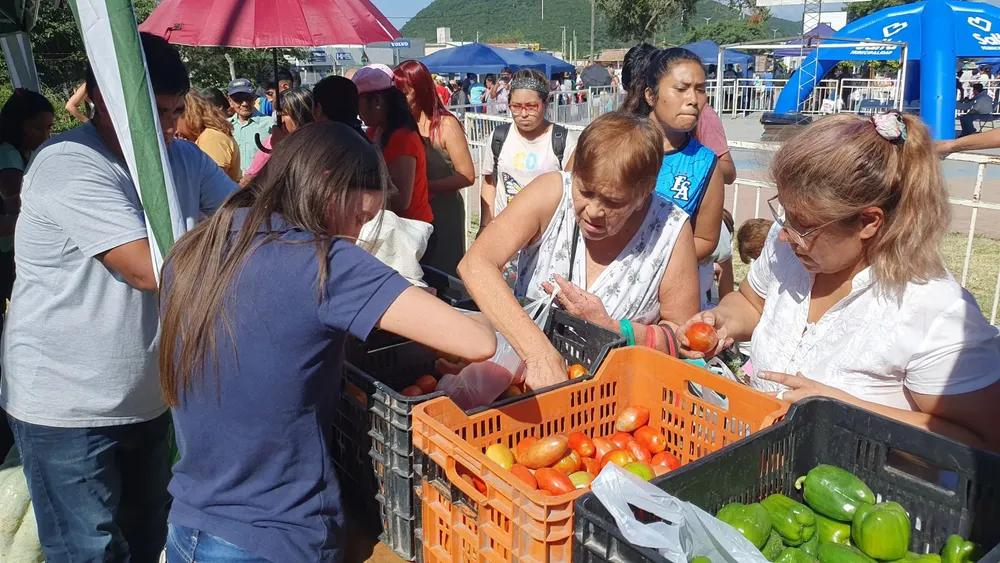Mercado