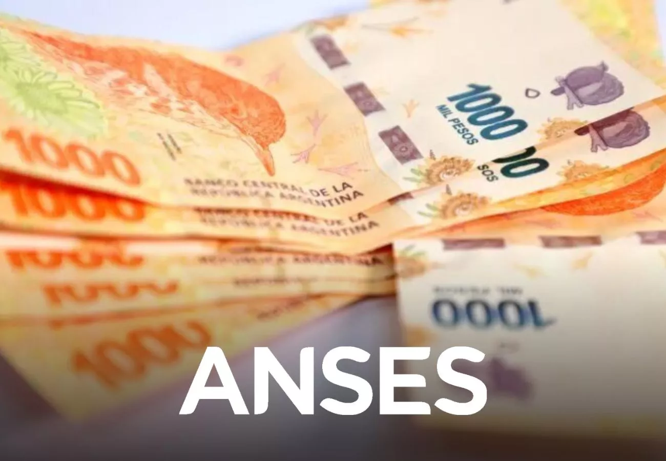 bono anses