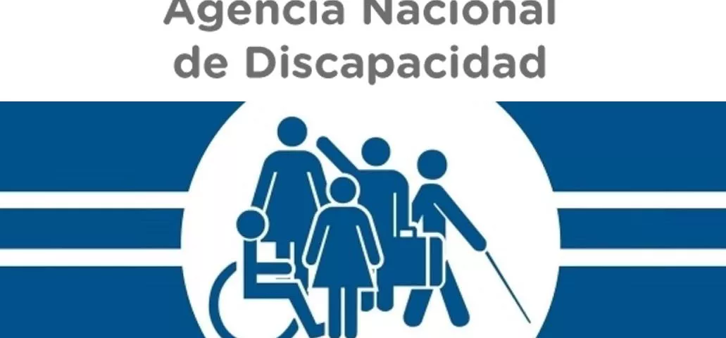 Agencia nacional de discapacidad}