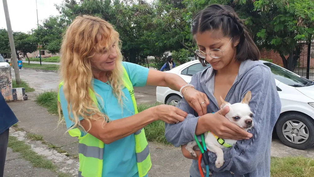 vacunacion antirabica