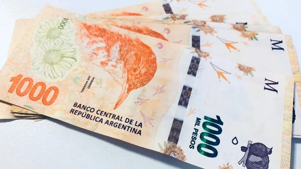 billetes-dinero-anses_8-min