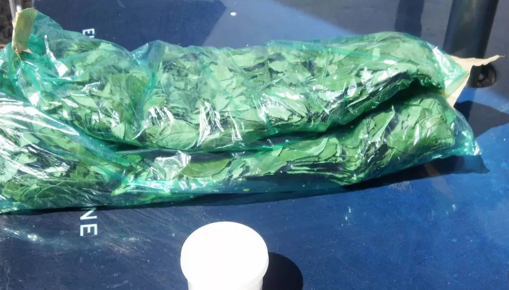 Coca de coquea
