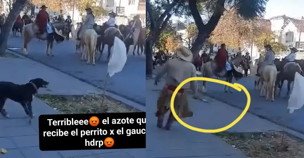 Gaucho maltratador
