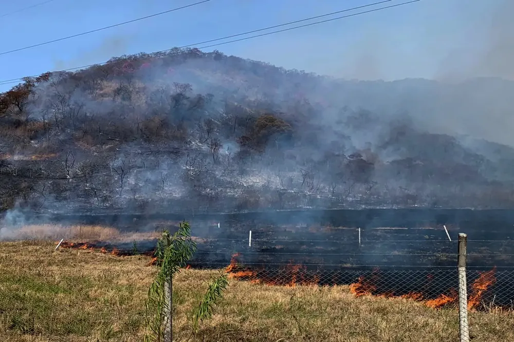 incendio catolica
