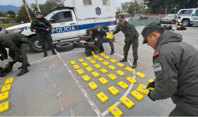 Narco poli