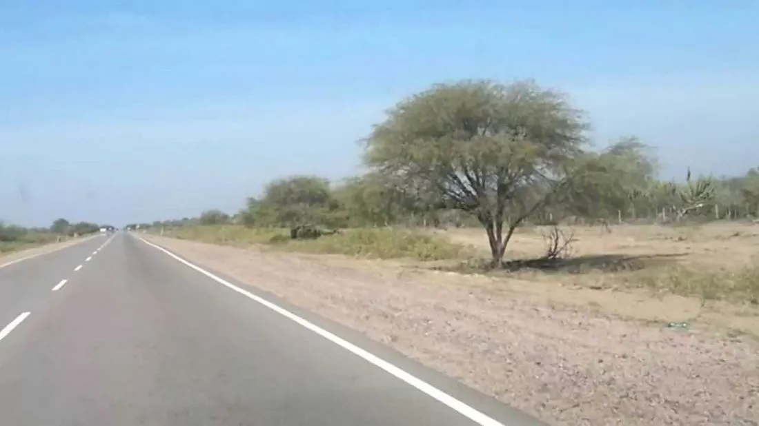 95379-atropellaron-a-una-joven-sobre-ruta-provincial-n-24-camino-a-colon