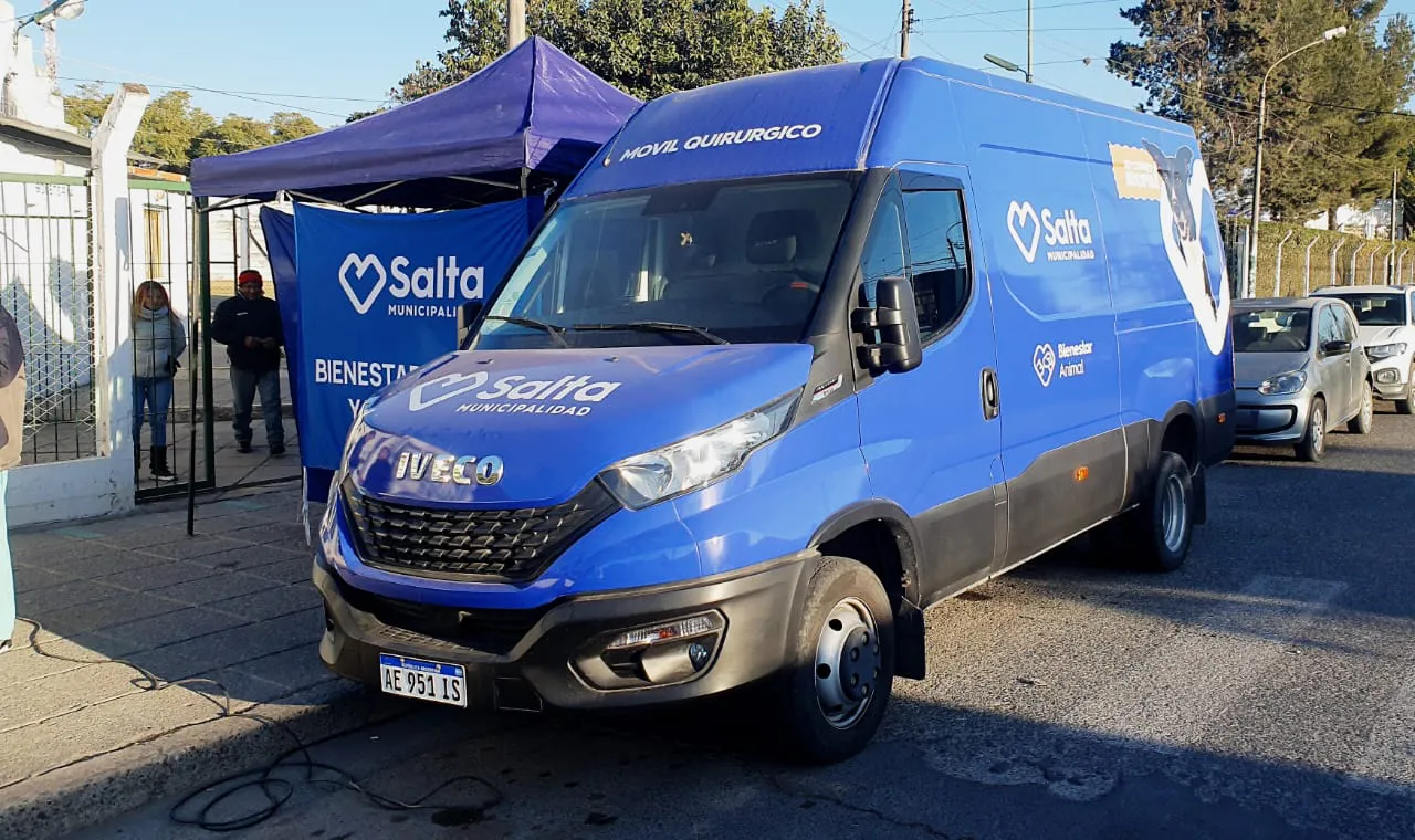 movil-de-castracion-en-vitale-8