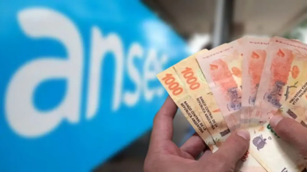 bono escolar anses