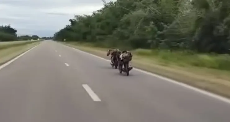 motos ruta