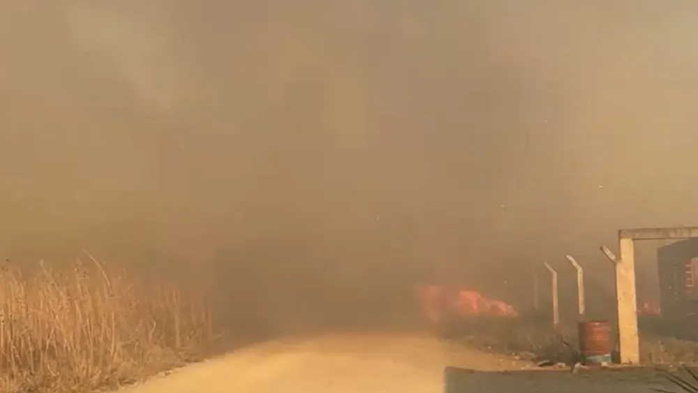 incendio liga