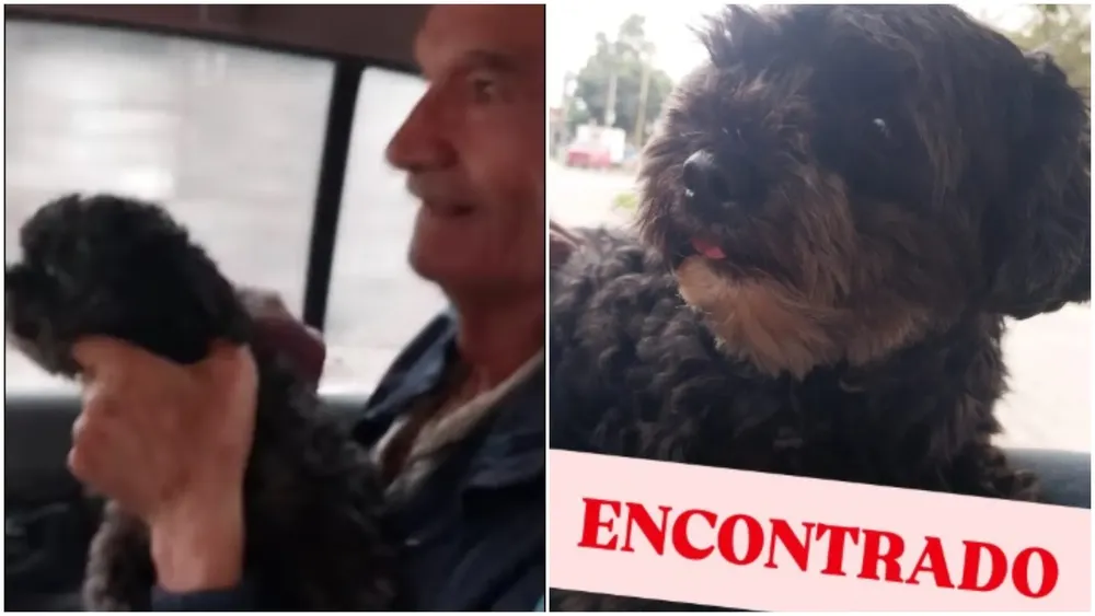 muñeco