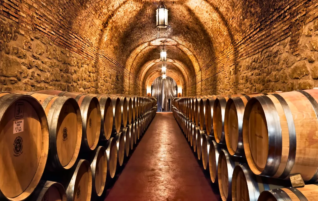 Bodegas