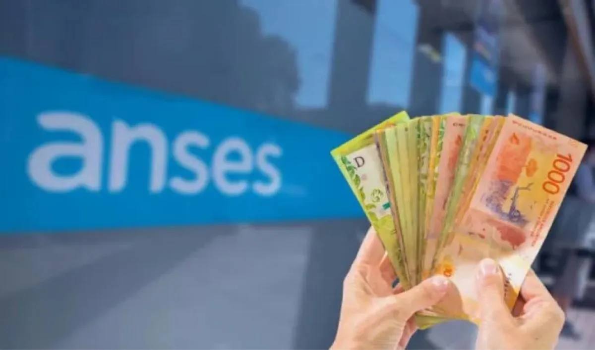 bono anses